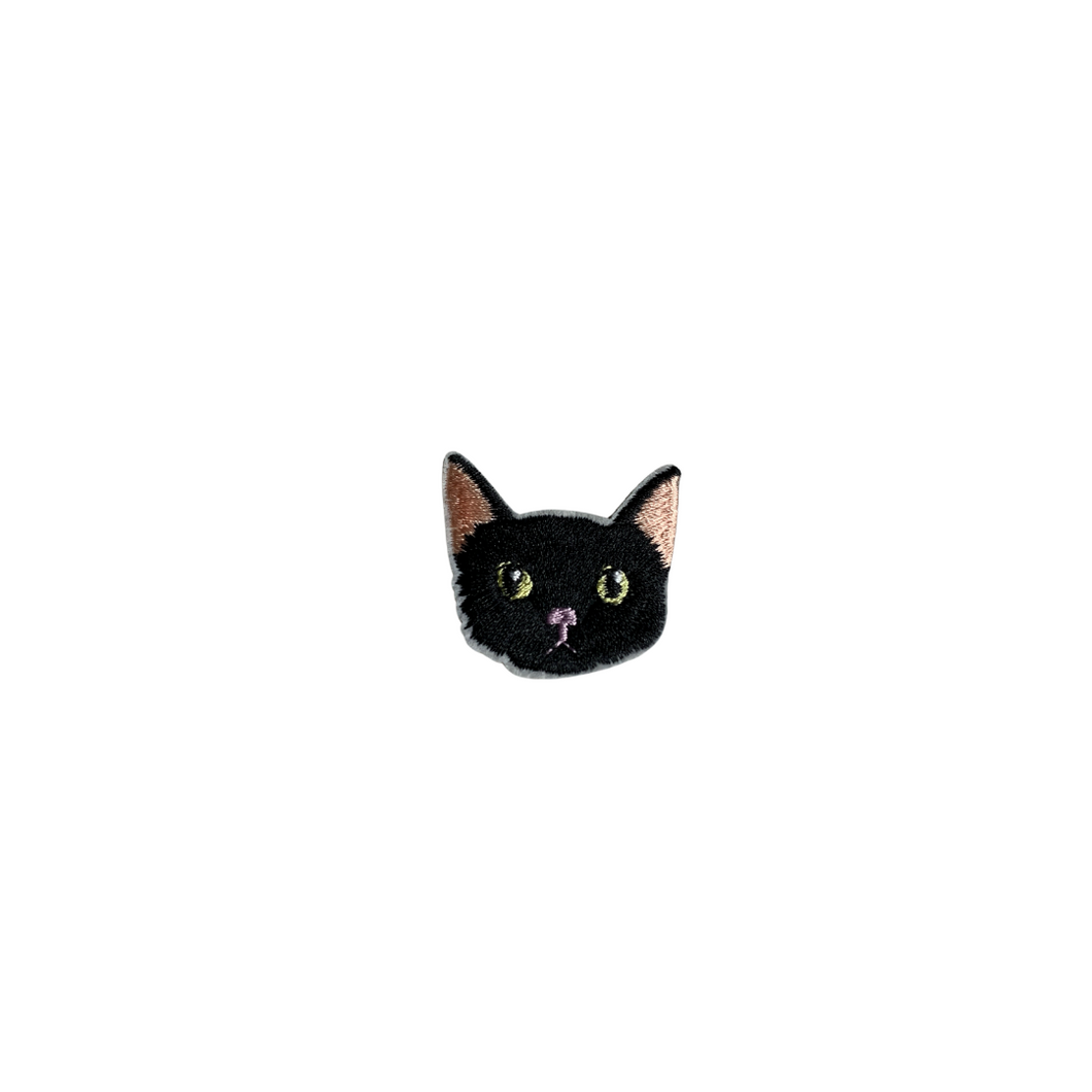 Petit chat noir
